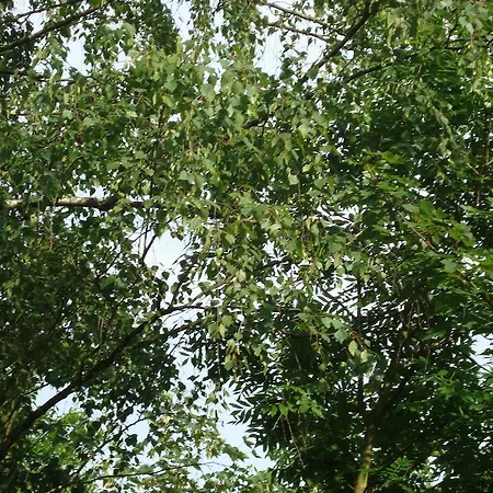 Gartenhof Ξενοδοχείο